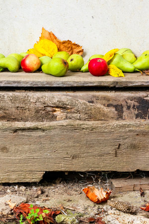 rural harvest in autumn. fruits on wooden background. fresh pears and ripe apples with yellow leaves...