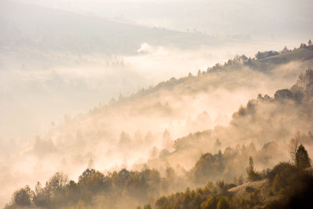 rising fog in valley. rural landscape in autumn. trees on the hill emerge from cold morning mist. village concealed in glowing haze. beautiful countryside scene in carpathian mountains at sunriseの写真素材