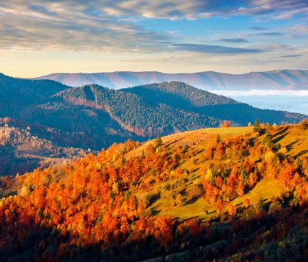 mountain landscape of ukraine in autumn. scenic destination for a weekend. fog in the distant valley. forest on hills in morning light. weather forecast background with bright sky. countryside sceneryの写真素材