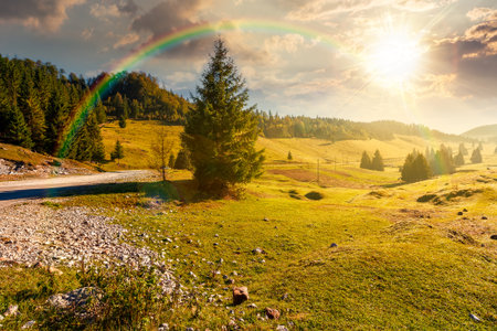 beautiful mountain landscape in autumn at sunset. coniferous forest in natural park. rural valley with grassy pastures on hills in misty weather. amazing countryside in evening lightの写真素材