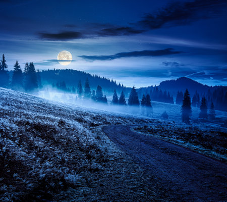 rural road through romania mountain landscape in autumn at night. coniferous forest on rolling hills in fog. natural park in full moon light. beautiful countryside travel background.の写真素材