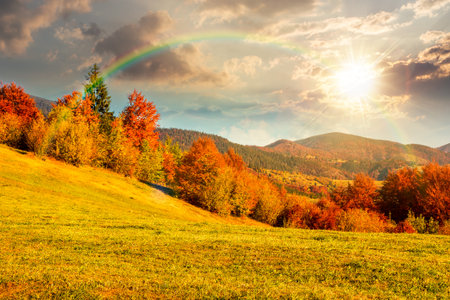 mountain landscape in autumn at sunset. beautiful view with trees in colorful foliage. picturesque rural place in evening light. countryside sceneryの写真素材