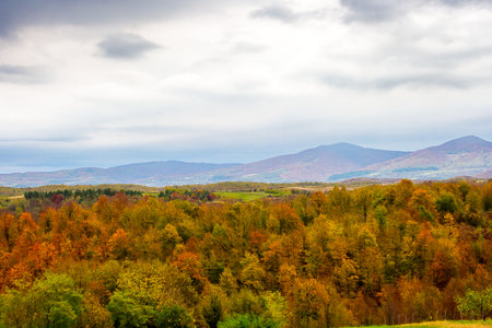 autumn landscape in mountains with village in the valley. overcast morning sky over carpathian countryside in fall season. beautiful location with colorful forestの写真素材