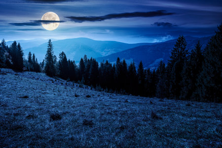 landscape with coniferous forest behind the meadow in autumn at night. nature background with blue sky and mountain ridge in full moon light. alpine woodlandの写真素材