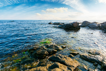 weekend on a rocky beach at the black sea under open blue sky. beautiful coastline of bulgaria in summer. seascape scenery on a bright morning with clouds above horizon. sunny weatherの写真素材