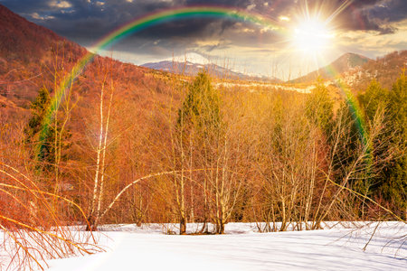 mountain landscape with mixed forest on snow covered slope at sunset. blue sky with clouds in evening light. early spring storytelling image under the rainbow. countryside scenery with treesの写真素材