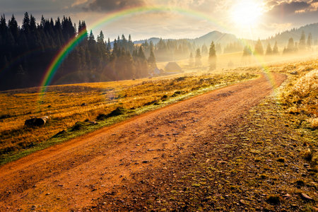 rural road through mountain landscape in autumn at sunset. coniferous forest on rolling hills on a foggy evening in natural park. beautiful countryside travel background. cloudy skyの写真素材