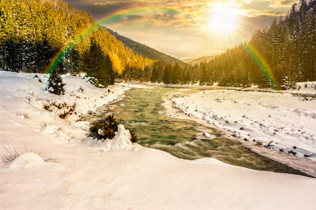 frozen mountain river among spruce forest at sunset. snow on the ground in evening light. countryside valley in winter. storytelling image under the rainbowの写真素材