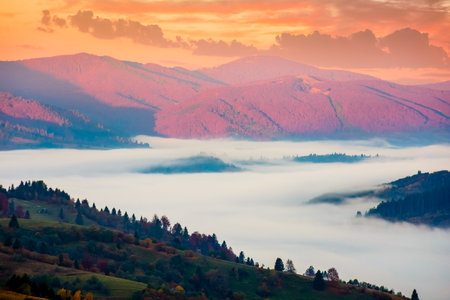 carpathian mountain landscape in autumn at sunrise. mist in the distant valley. colorful trees on hills. beautiful countryside scene of ukraine in morning light and fog. picturesque rural placeの写真素材