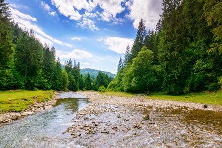 landscape with mountains, forest and a river in front. beautiful scenery in summer on a sunny day. water flowing through synevyr park. natural background for ecology and sustainability conceptの写真素材