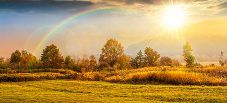 autumn landscape at sunset. yellow trees in fog on the meadow in evening light. beautiful rural scenery. wide panoramic viewの写真素材