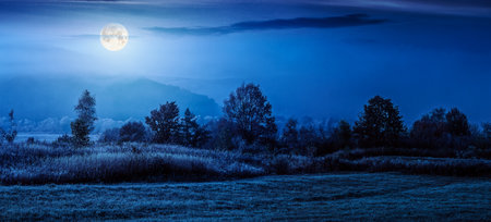 autumn landscape at night. yellow trees in fog on the meadow in full moon light. beautiful rural scenery. wide panoramic viewの写真素材