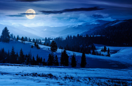 spruce forested hills of mountain ridge in winter at night. gorgeous nature scenery with snow covered hillside and meadows in full moon light.の写真素材