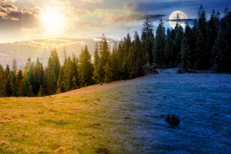 mountain landscape with spruce forest on spring equinox. day and night time change concept. green meadow on the hill with sun and moon. distant range in snow under sky with clouds. beautiful sceneryの写真素材