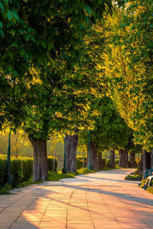 park street on a sunny morning in spring. place with bench in the shade of chestnut alley. urban...