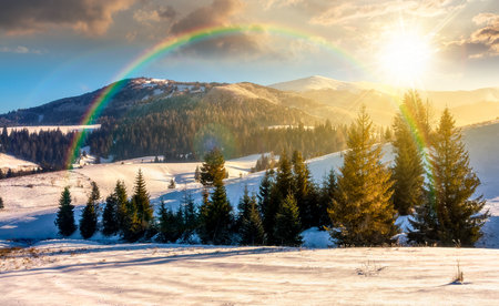 spruce forest on a meadow covered with snow in mountains at sunset. beautiful landscape in good winter weather in evening light. timeless nostalgia with rainbowの写真素材