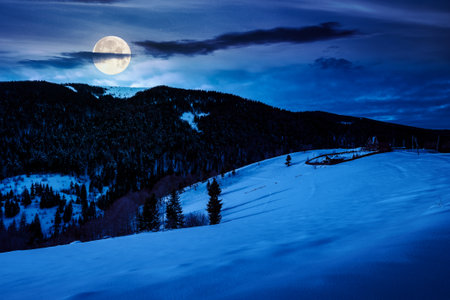beautiful winter landscape with snow covered hills at night. serene rural scene in mountains in full moon light. rolling countryside area.の写真素材