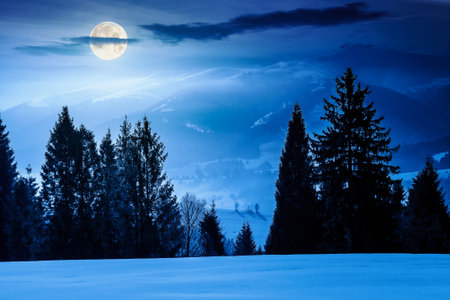 winter landscape at night. fir trees on snow covered hill in full moon light. mysterious place in mountains. winter wonderland background for photo travel. backdrop for fiction art or mystery conceptsの写真素材