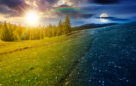 meadow with wildflowers. day and night time change concept. dandelions and daisies among grass with sun and moon. spruce forest in mountains. beautiful landscape. duality and transition templateの写真素材