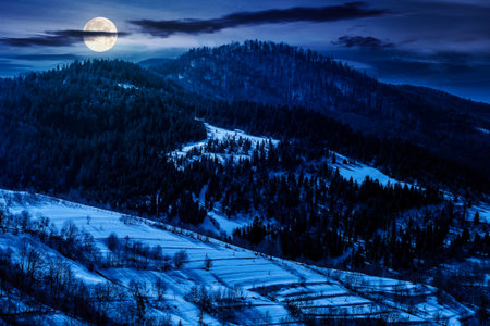 snow covered winter landscape in mountains at night. scenic view of countryside scenery with forested hills in full moon light. rural life. background for abstract conceptsの写真素材