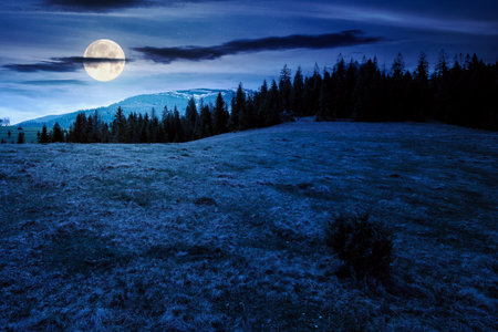 mountain landscape with spruce forest in spring at night. meadow on the hill on a in full moon light. distant range with peaks in snow under sky with clouds. beautiful countryside sceneryの写真素材