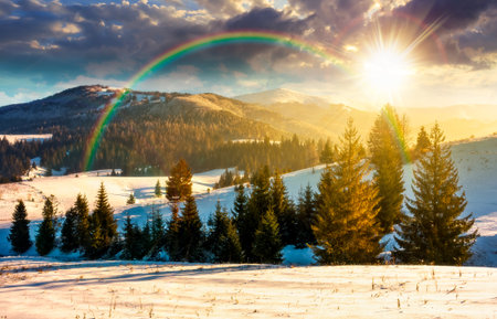 fir trees on snowy hillsides at sunset. stunning nature scenery in mountains in evening light. winter holidays wallpaper. countryside landscape. timeless nostalgia book cover with rainbowの写真素材