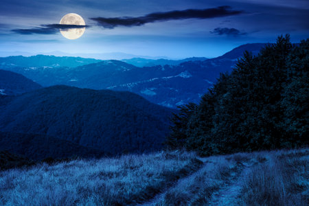 beautiful mountain landscape with beech trees on rolling hills at night. mysterious view of alpine countryside scenery in full moon light. backdrop for fiction art or mystery conceptsの写真素材