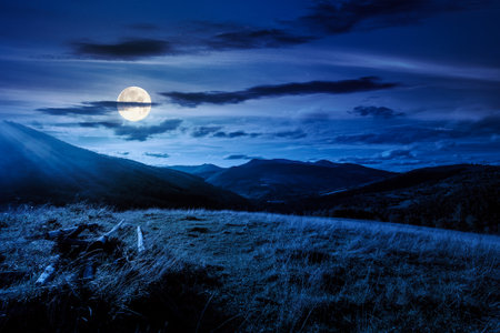beautiful countryside at night. wonderful summertime landscape in mountains in full moon light. scenic view of grassy field and rolling hills.の写真素材