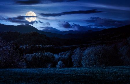 forested hills in spring at night. beautiful scenery in mountains in full moon light. rolling countryside landscape. remote rural region in highlands. backdrop for fiction art or mystery conceptsの写真素材