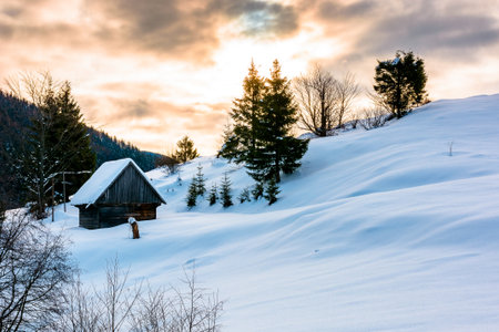 beautiful winter landscape with snow covered hills on sunny morning. serene rural scene in carpathian mountains. rolling countryside area in ukraine.の写真素材