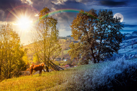 horse grazing on lush green field. day and night time change concept. serene rural landscape with sun and moon at twilight. alpine scenery during autumn. sustainability duality and transition templateの写真素材