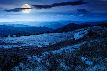 landscape with grassy meadow at night. mountain scenery in summer in full moon light. travel background. beauty in nature of green alpine environmentの写真素材