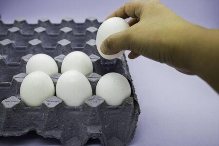 Bird eggs are a common food in human nutrition. They are protected by a shell and are rich in...