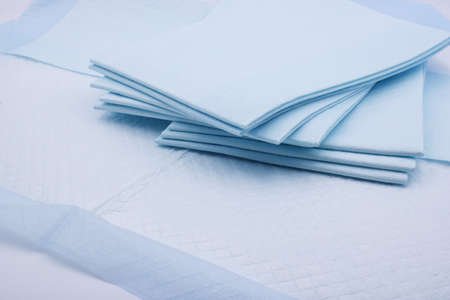 Trainer diaper or pet padの写真素材