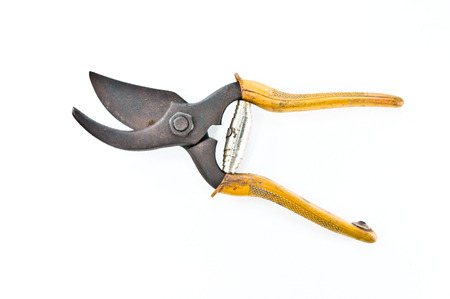 old pruning shearsの写真素材