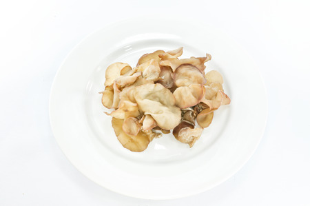 black fungusの写真素材