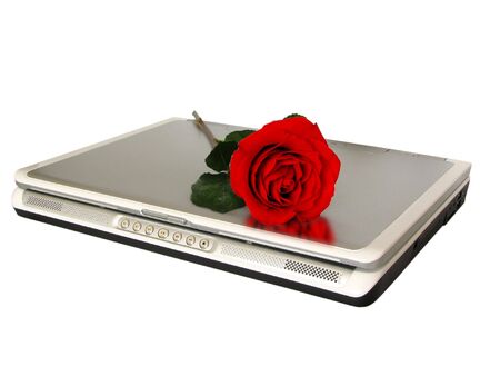 red rose on top of laptopの写真素材