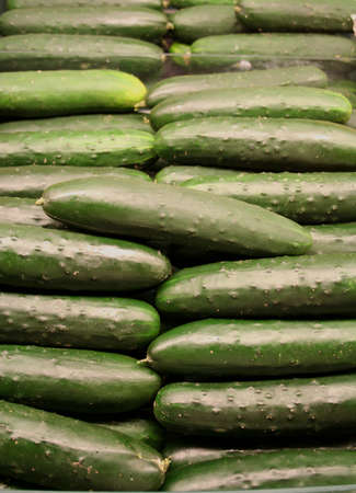 cucumber in the middle of many cucumbersの写真素材