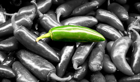 isolated jalapeno green pepper in the middle of many jalapeno green peppersの写真素材
