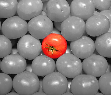 isolated tomato in the midde of many tomatoesの写真素材