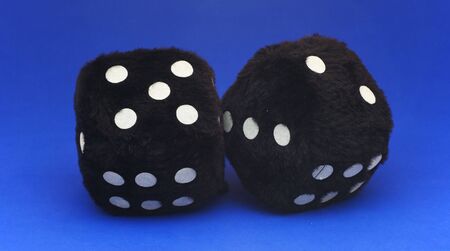 isolated fur dice