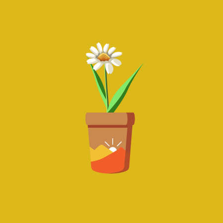 Chamomile flower in a pot. Flat design. Vector illustration.の写真素材
