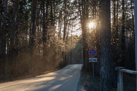 Rays of light illuminate a railway crossing in the forest. Beautiful light on the landscape,...