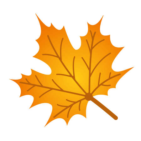 yellowed maple leaf vectorのイラスト素材