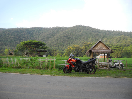 Emotional attractionの写真素材