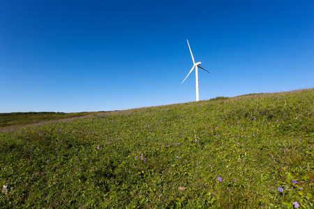 Landscapeのeditorial素材