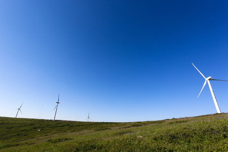 Landscapeのeditorial素材