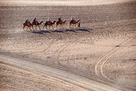 Landscapeのeditorial素材