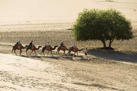 Sceneryのeditorial素材