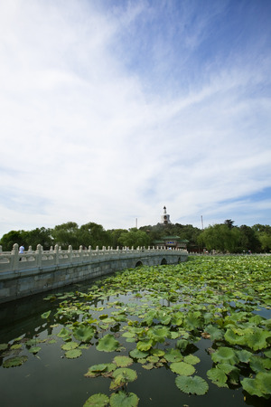 Landscapeのeditorial素材